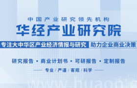 2025年中国汽车电商行业主流模式及保有量情况